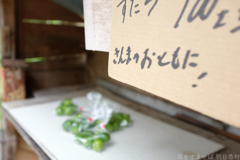 国営飛鳥歴史公園　高松塚周辺地区