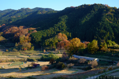 明日香村　大字稲渕