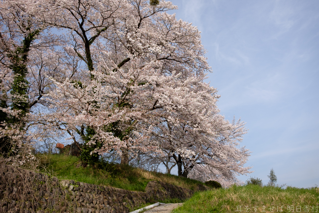 明日香村大字川原