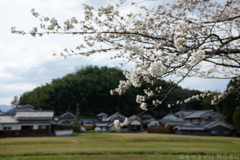 明日香村　大字川原　川原寺跡