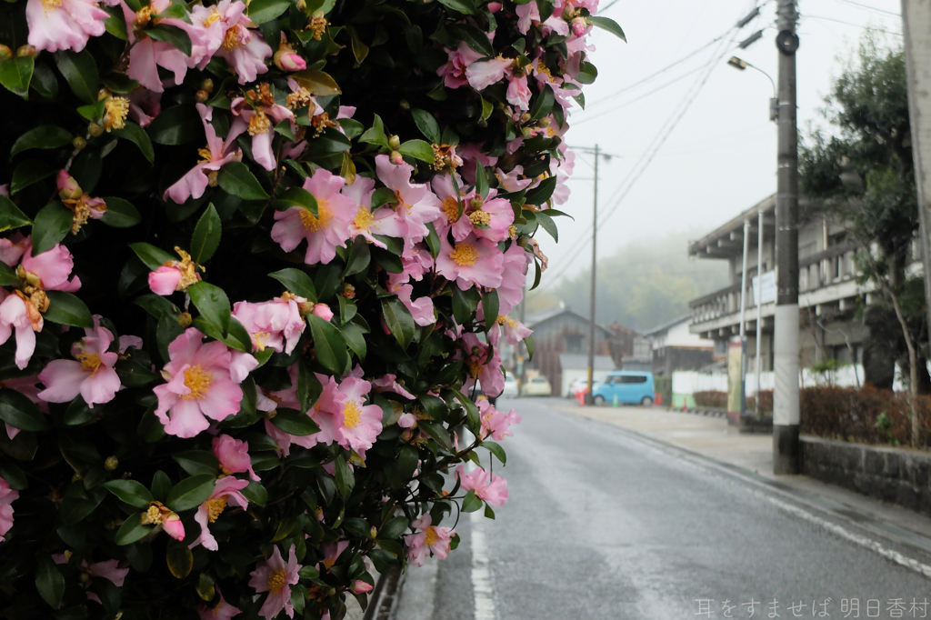 明日香村　大字岡