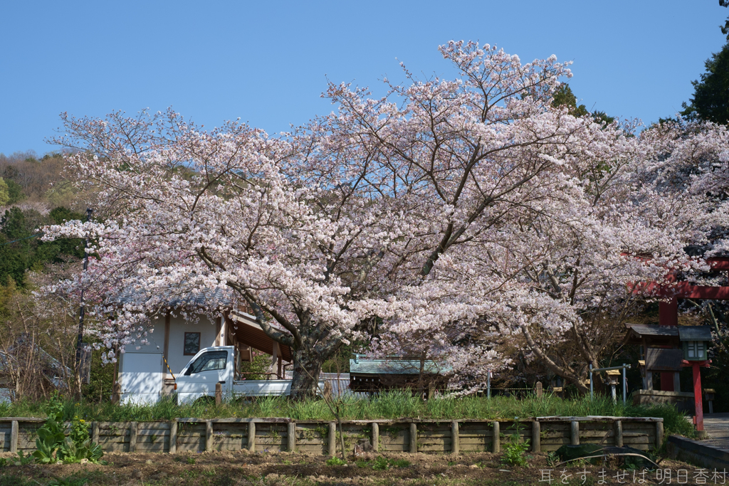 橿原市　畝火山口神社