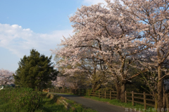 明日香村　大字川原