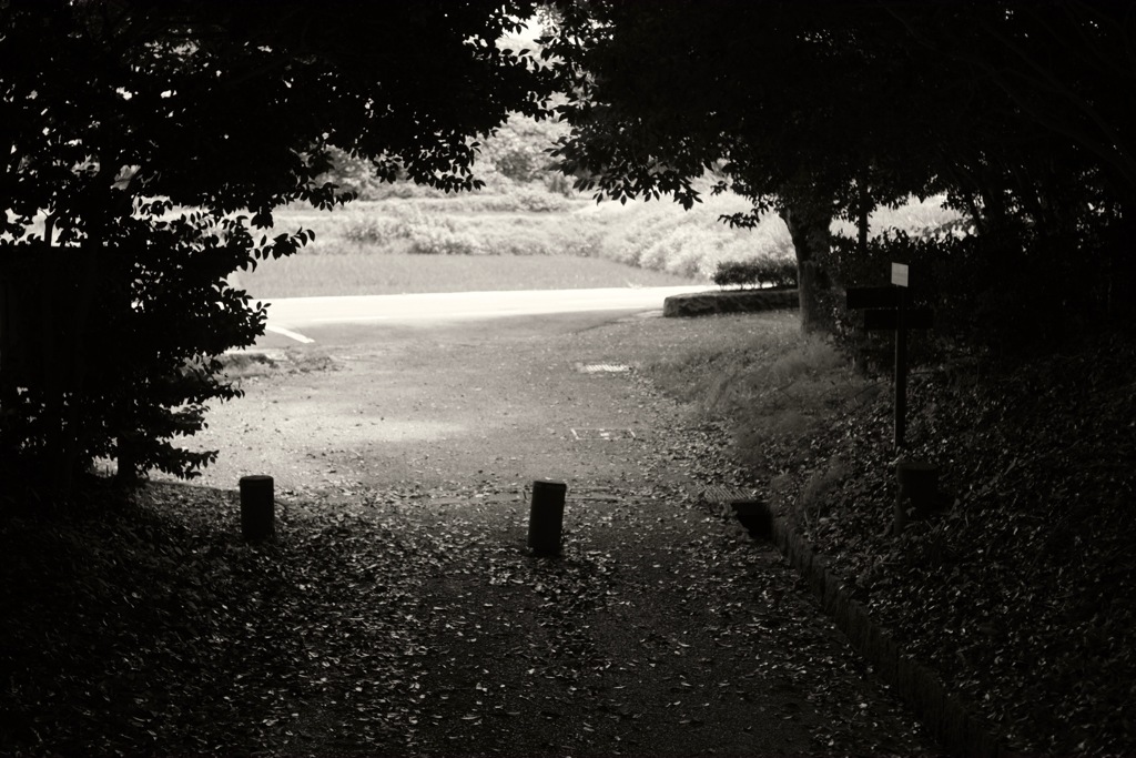 明日香村 豊浦 （ 甘樫丘 ）