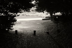 明日香村 豊浦 （ 甘樫丘 ）