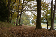 明日香村 大字豊浦( 国営飛鳥歴史公園 甘樫丘地区 ) 明日香村 大字豊浦( 国営飛鳥歴史公園 甘樫丘地区 )