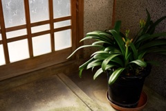 明日香村 大字飛鳥 明日香村 大字飛鳥