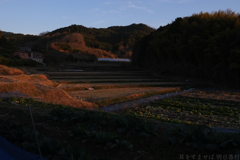 明日香村　大字平田