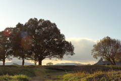 明日香村 大字川原 川原寺跡 明日香村 大字川原 川原寺跡