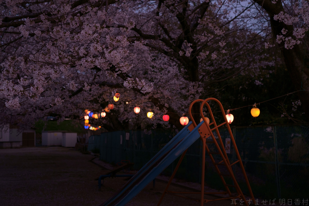 橿原市　菖蒲町