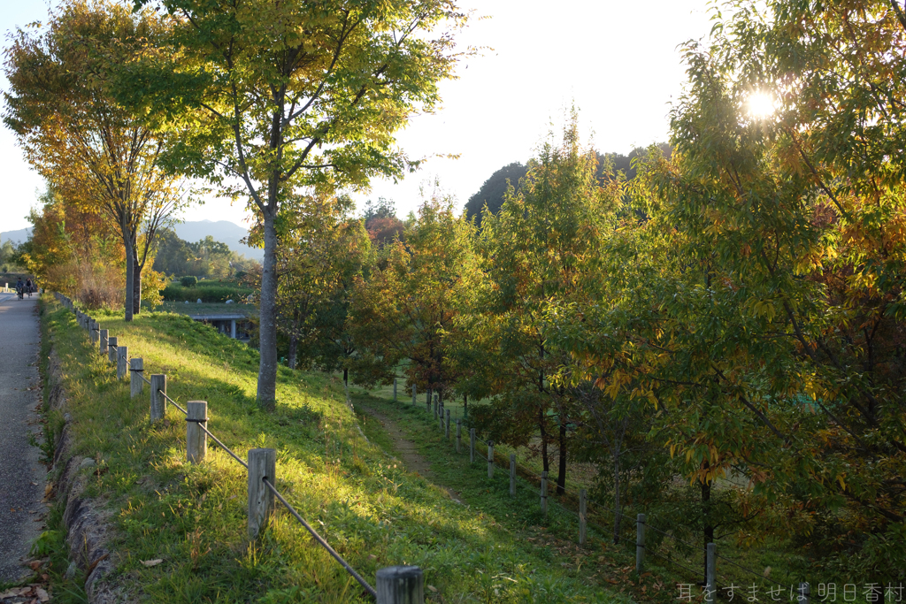 明日香村　大字檜前　国営飛鳥歴史公園キトラ古墳周辺地区