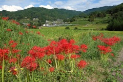 明日香村 大字稲淵