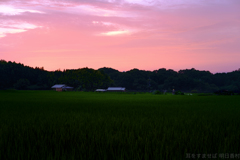 明日香村　大字岡　伝飛鳥板蓋宮跡