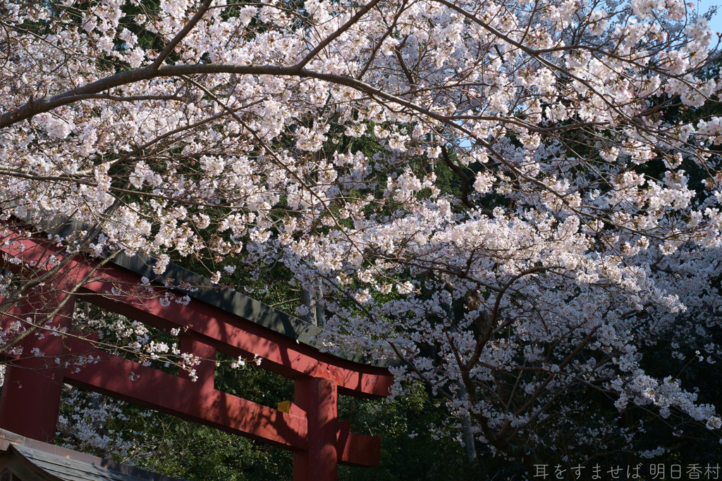 橿原市　畝火山口神社