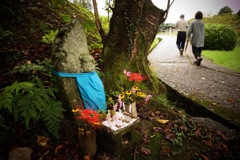 明日香村　大字祝戸（ 国営飛鳥歴史公園 祝戸地区 ）
