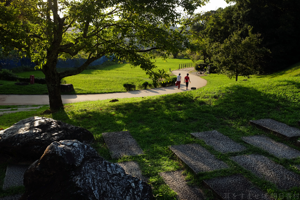 明日香村　大字平田（ 国営飛鳥歴史公園 高松塚周辺地区 ）