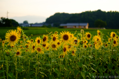 明日香村 大字岡 明日香村 大字岡
