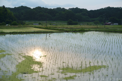 明日香村　大字岡