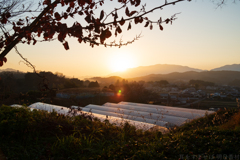 明日香村　大字平田（ 国営飛鳥歴史公園　高松塚周辺地区 ）