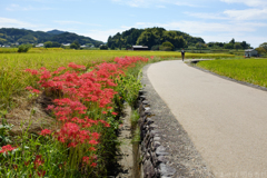 明日香村　大字飛鳥