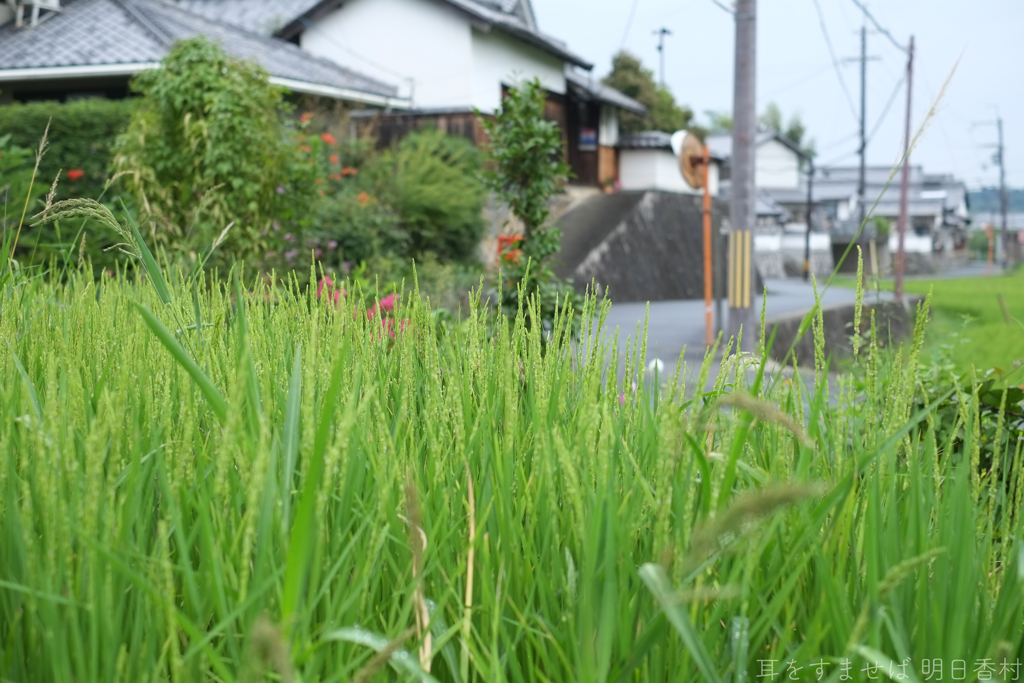 明日香村　大字檜前
