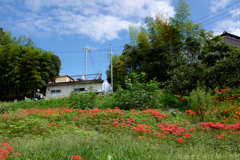 明日香村　大字立部