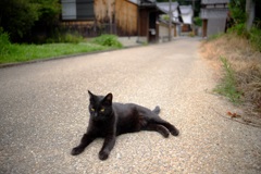 明日香村 大字川原 明日香村 大字川原
