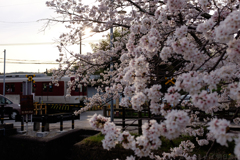 明日香村大字御園