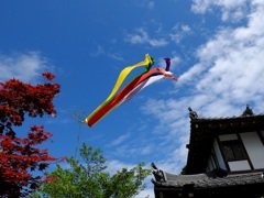 明日香村　大字岡 岡本寺春季護摩法要 子安観音祭