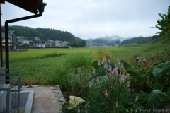 明日香村 大字野口 明日香村 大字野口