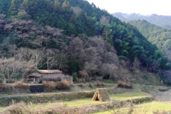明日香村　大字栢森