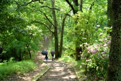 明日香村 大字豊浦 甘樫丘 明日香村 大字豊浦 甘樫丘
