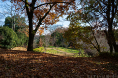 明日香村　大字平田（ 国営飛鳥歴史公園高松塚周辺地区 ）