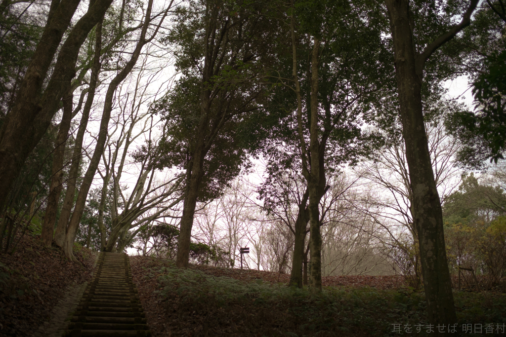 明日香村 大字豊浦（ 甘樫丘 ）