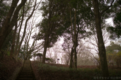 明日香村 大字豊浦( 甘樫丘 ) 明日香村 大字豊浦( 甘樫丘 )
