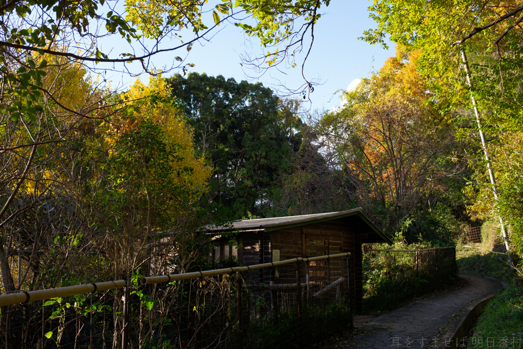 桜井市　山辺の道