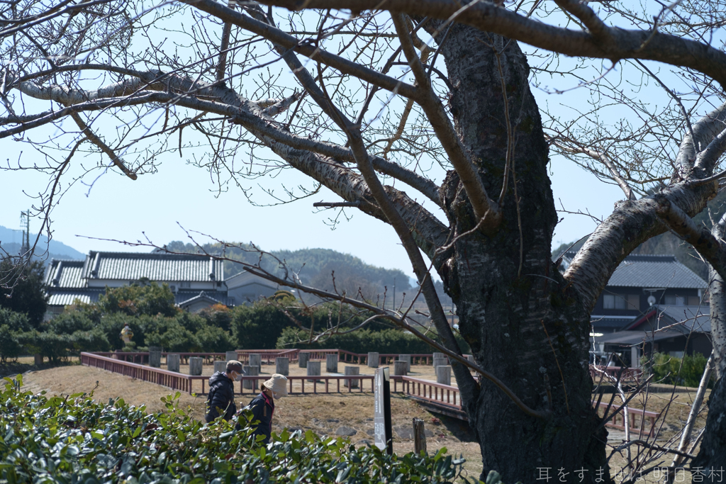 明日香村　大字飛鳥