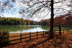 奈良県北葛城郡河合町、広陵町　馬見丘陵公園
