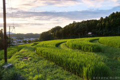 明日香村 大字上居 明日香村 大字上居