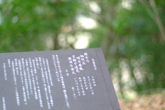 明日香村 大字豊浦 甘樫丘 明日香村 大字豊浦 甘樫丘