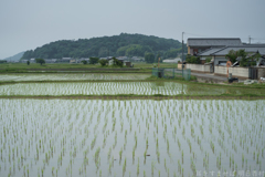 明日香村　大字奥山
