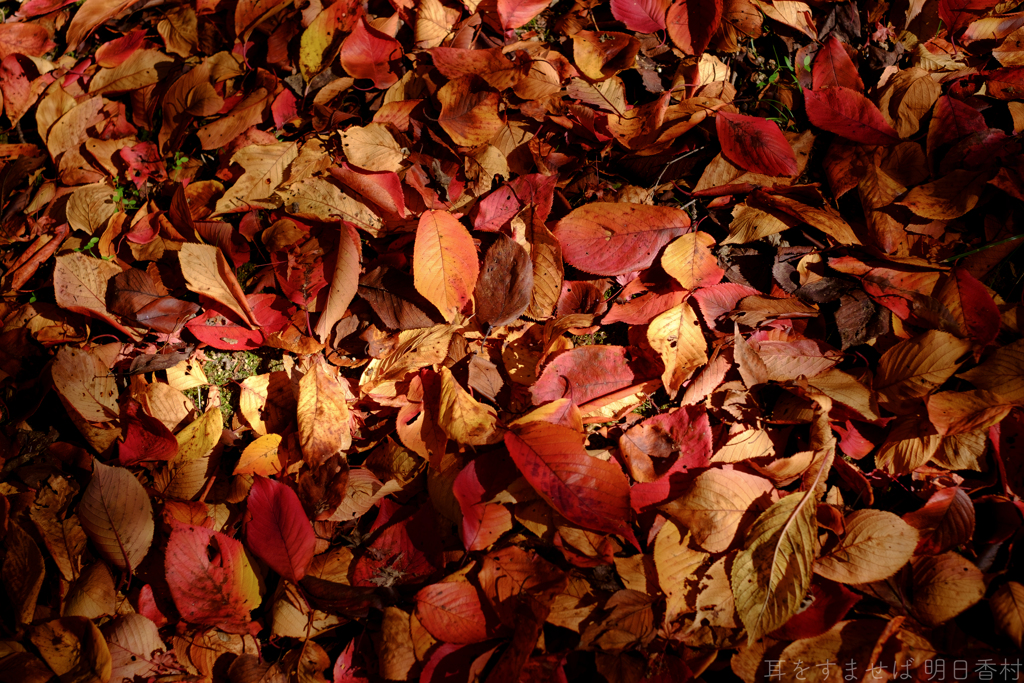 明日香村　大字平田　中尾山古墳