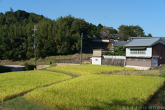 明日香村　大字立部