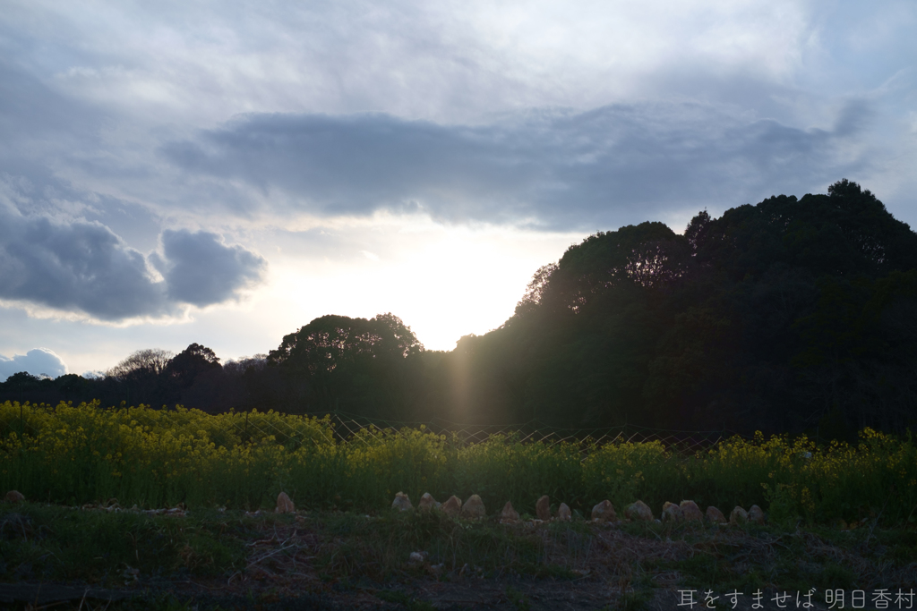 明日香村　大字川原