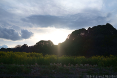 明日香村　大字川原