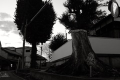 大阪府羽曳野市