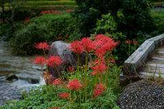 明日香村　大字稲渕