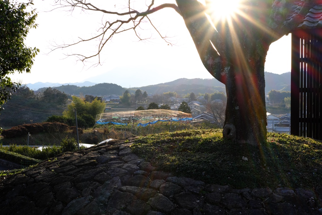 明日香村　大字栗原