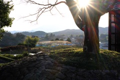 明日香村 大字栗原 明日香村 大字栗原