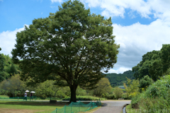 明日香村　大字平田（ 国営飛鳥歴史公園　高松塚周辺地区 ）